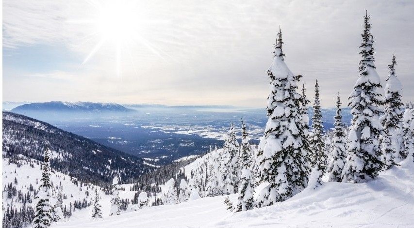 Explore Whitefish