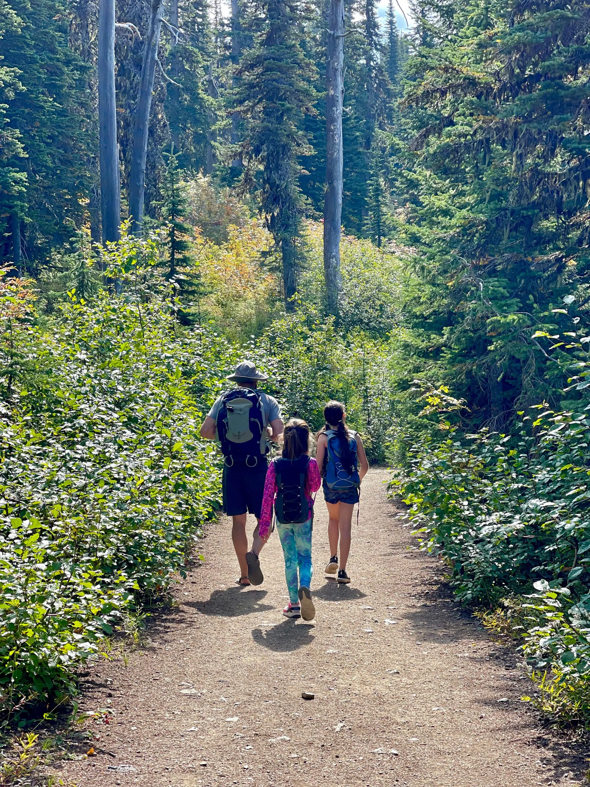 Best Places to Explore in Flathead Valley, Northwest Montana 